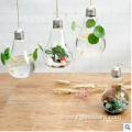 Small Hanging Clear Glass Teardrop Vase Irregular Terrarium